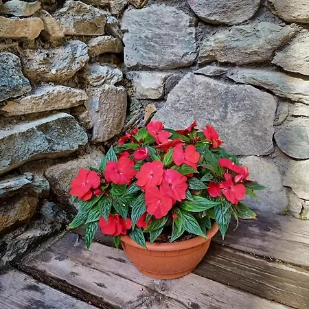 V&v Rentroom Design Affittacamere Gignod