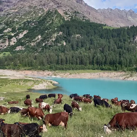 V&v Rentroom Design Affittacamere 4*