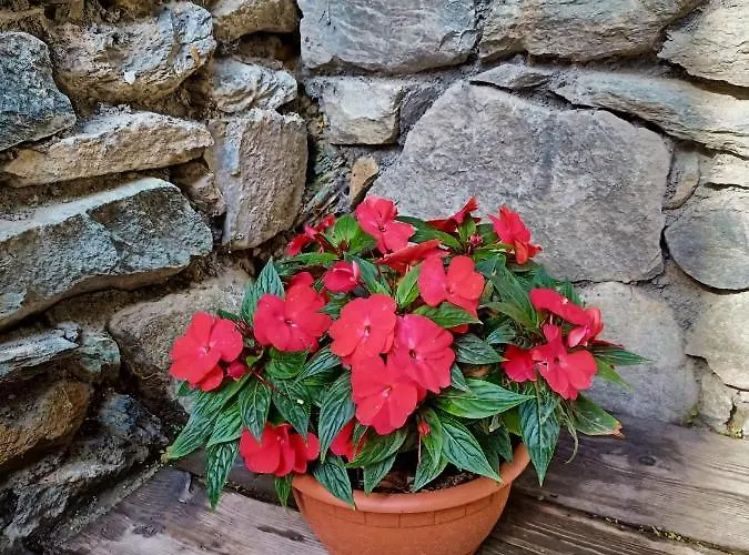 V&v Rentroom Design Guest house Gignod