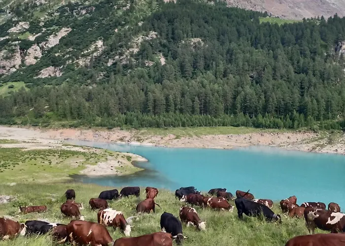 V&v Rentroom Design Guest house 4*